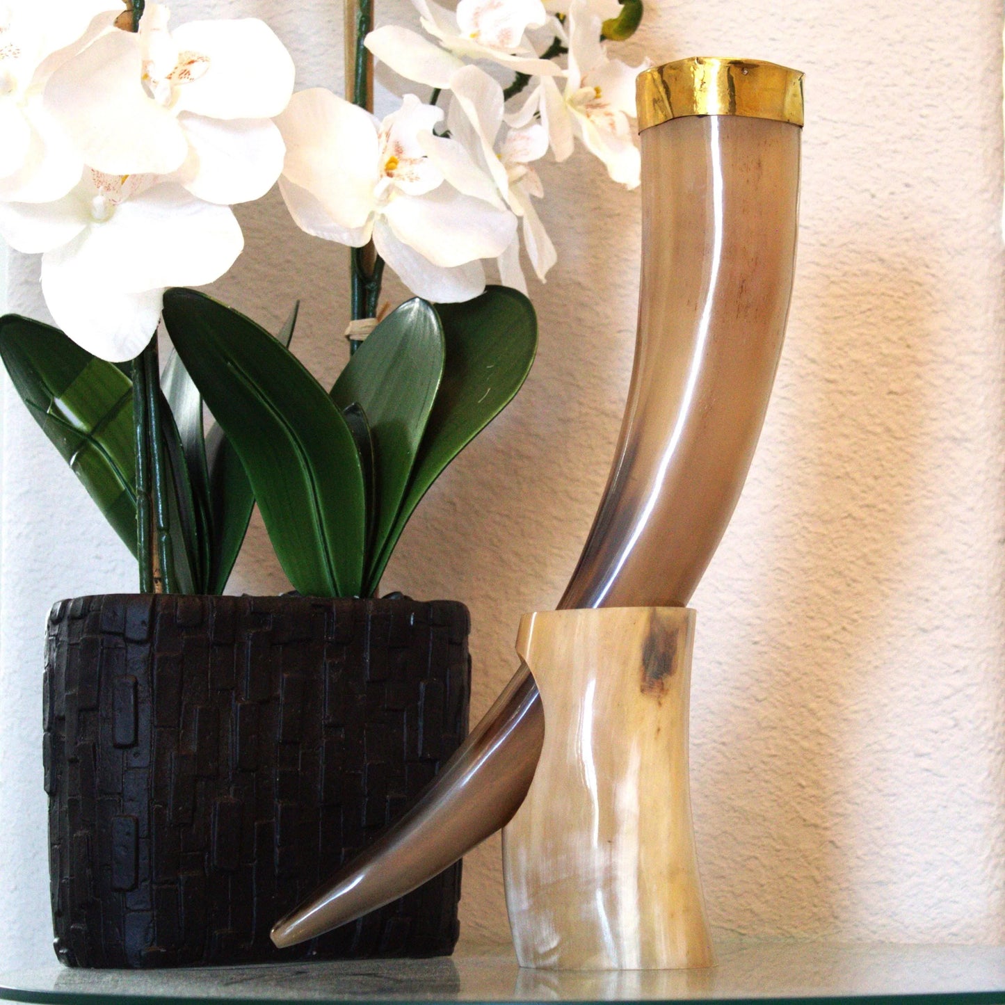 Viking Drinking Horn Cup With Horn Stand - Brass Rim Made Horn Mug Medieval Rustic Viking Beer Horn Drinking Decor - Lazzy Panda