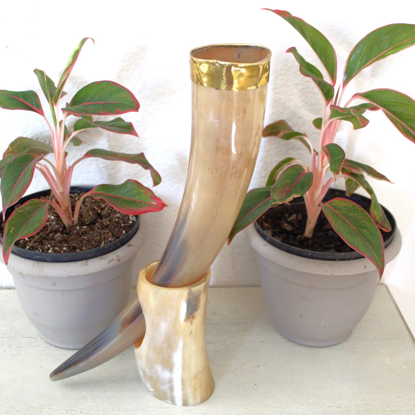 Viking Drinking Horn Cup With Horn Stand - Brass Rim Made Horn Mug Medieval Rustic Viking Beer Horn Drinking Decor - Lazzy Panda